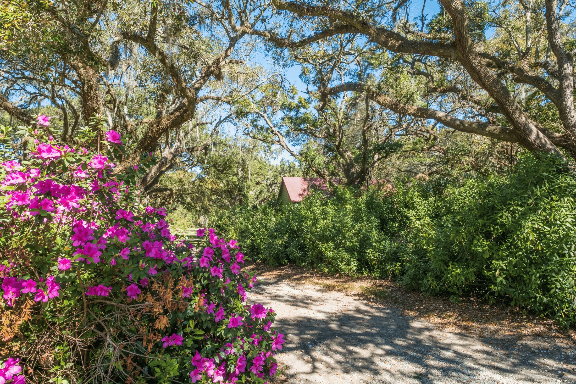 James Island, SC