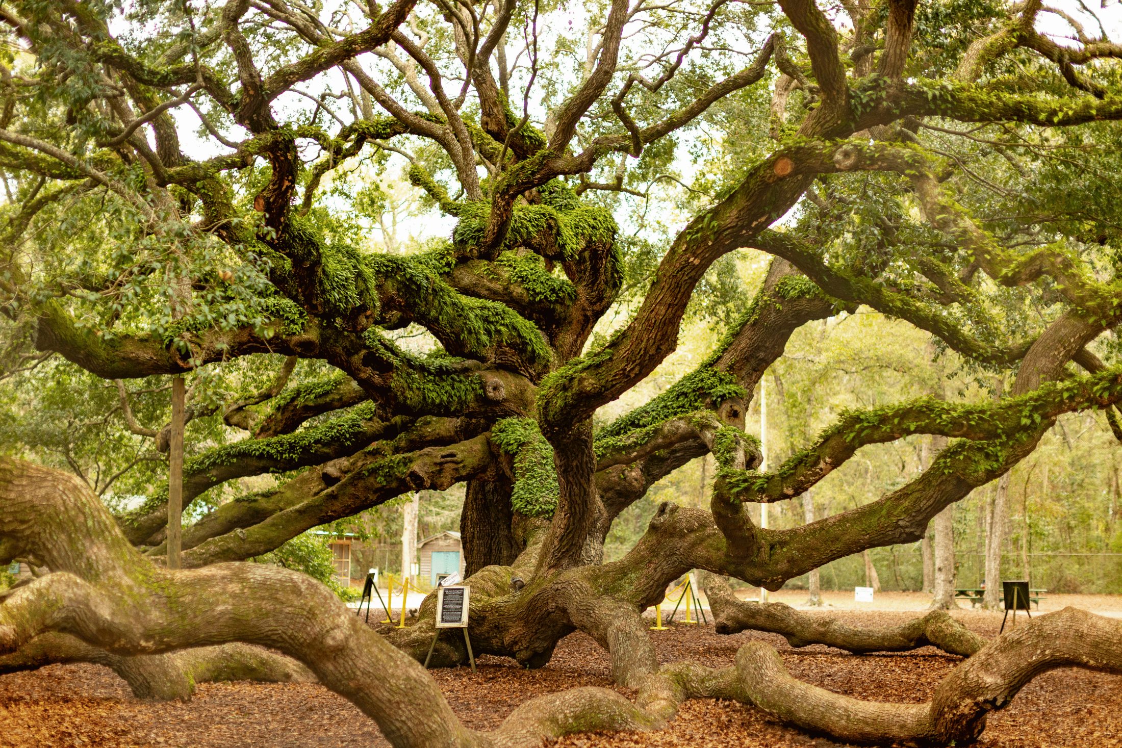 Johns Island, SC